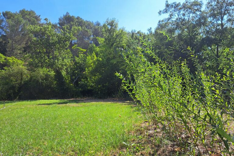 Domaine De L'écluse - Bild 13