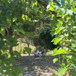 Domaine De L'écluse - Bild 14