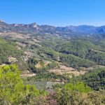 Domaine De L'écluse - Bild 4