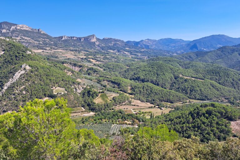 Domaine De L'écluse - Bild 4