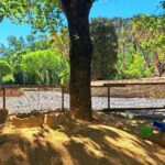 Domaine De L'écluse - Bild 8