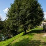 Domaine De L'epinette - Bild 10