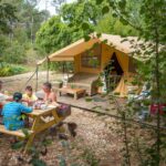 Domaine De L'etang De Bazange | Sites Et Paysages - Bild 4 Domaine De L'etang De Bazange | Sites Et Paysages - Bild 4