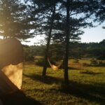 Domaine De Pradines - Bild 10