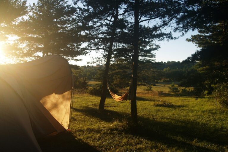 Domaine De Pradines - Bild 10