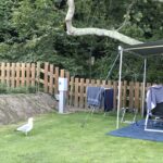 Domaine De Trestraou - Bild 7 Domaine De Trestraou - Bild 7