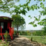 Domaine Des Cadets De Gascogne - Bild 3