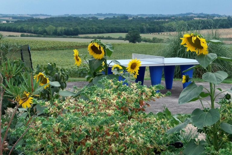 Domaine Des Cadets De Gascogne - Bild 5