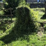 Domaine Des Vans - Bild 19