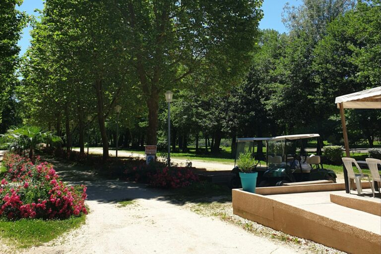 Domaine Du Lac De Neguenou - Bild 7