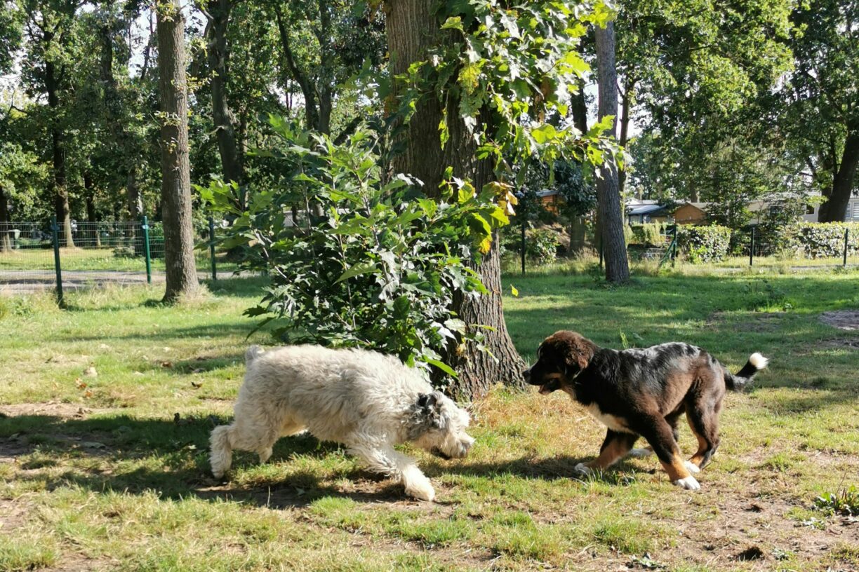 Domein De Schuur - Bild 10 Domein De Schuur - Bild 10