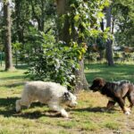 Domein De Schuur - Bild 10 Domein De Schuur - Bild 10