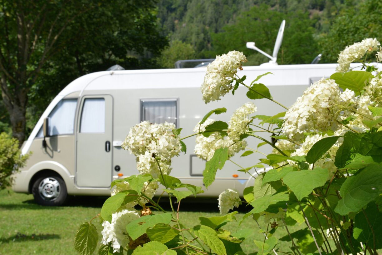 Draucamping Sachsenburg - Bild 9 Draucamping Sachsenburg - Bild 9