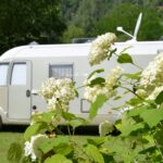 Draucamping Sachsenburg - Bild 9 Draucamping Sachsenburg - Bild 9