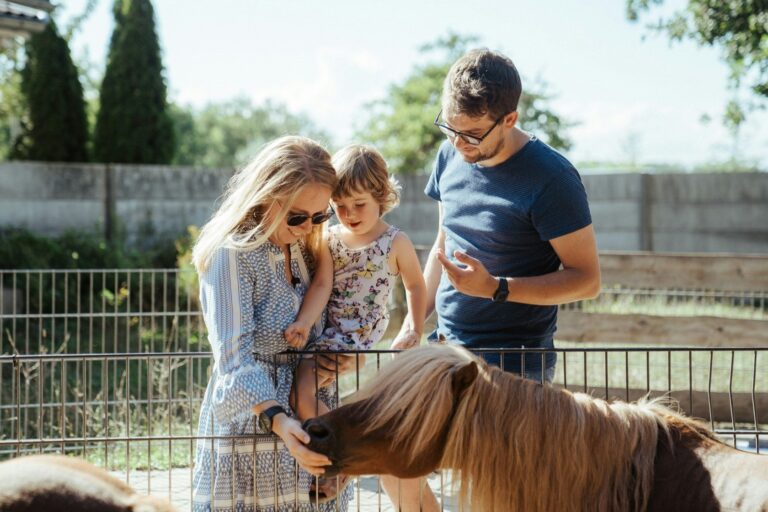 Dreiländer-camping & Freizeitpark Gugel - Bild 6