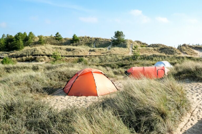 Dünencamping Amrum - Bild 6