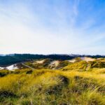 Dünencamping Amrum - Bild 9