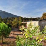 E Canicce - Bild 1 E Canicce - Bild 1