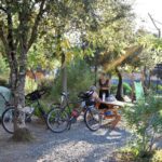 E Canicce - Bild 10 E Canicce - Bild 10