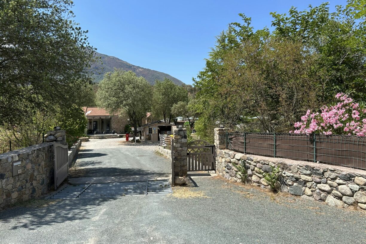 E Canicce - Bild 15 E Canicce - Bild 15