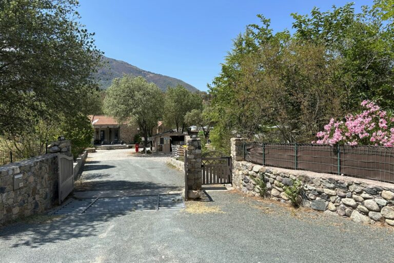 E Canicce - Bild 15 E Canicce - Bild 15