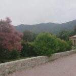 E Canicce - Bild 2 E Canicce - Bild 2