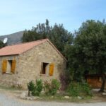 E Canicce - Bild 3 E Canicce - Bild 3