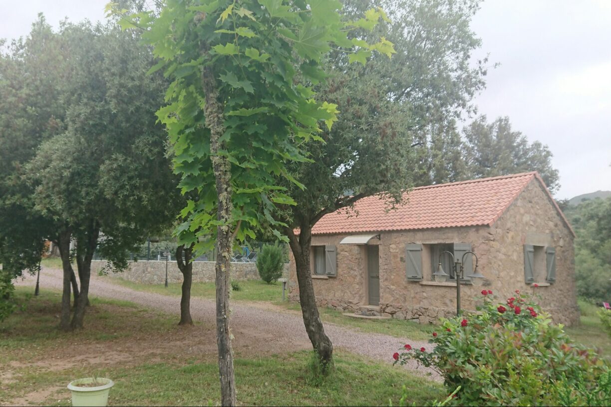 E Canicce - Bild 4 E Canicce - Bild 4