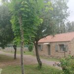 E Canicce - Bild 4 E Canicce - Bild 4