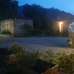 E Canicce - Bild 6 E Canicce - Bild 6