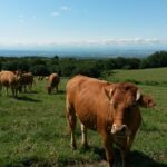 Eco-camping La Porte D'autan - Bild 13