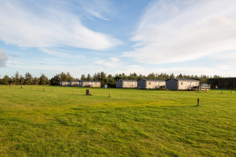 First Camp Klim Strand - Nordvestkysten - Bild 1