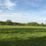 Erlebniscamping Lausitz - Bild 11