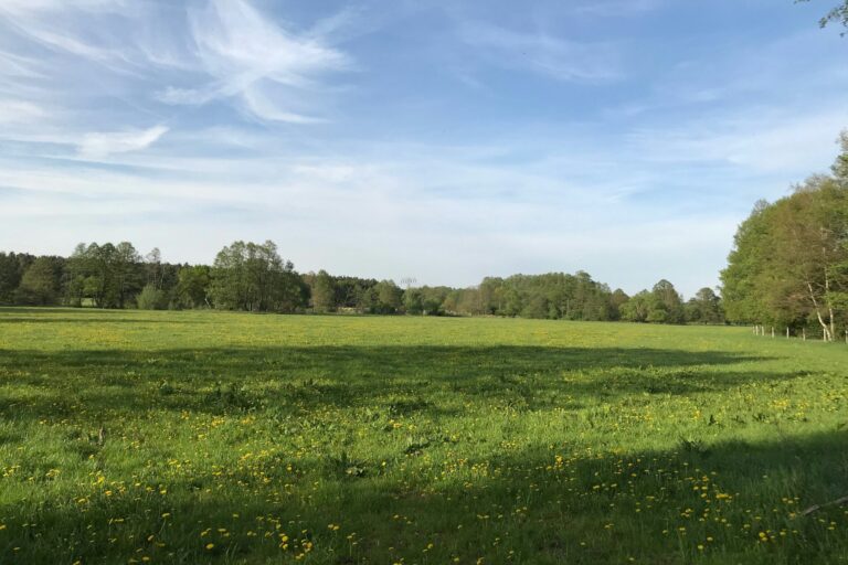 Erlebniscamping Lausitz - Bild 11