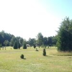 Erlebniscamping Lausitz - Bild 9