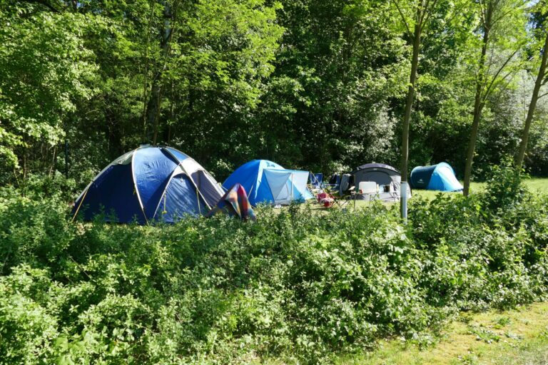 Eurocamp Spreewaldtor - Bild 11 Eurocamp Spreewaldtor - Bild 11