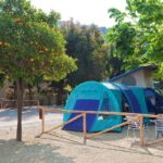 Eurocamping Calvisio - Bild 3 Eurocamping Calvisio - Bild 3