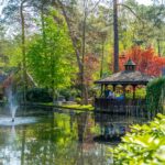 Europarcs Beekbergen - Bild 17