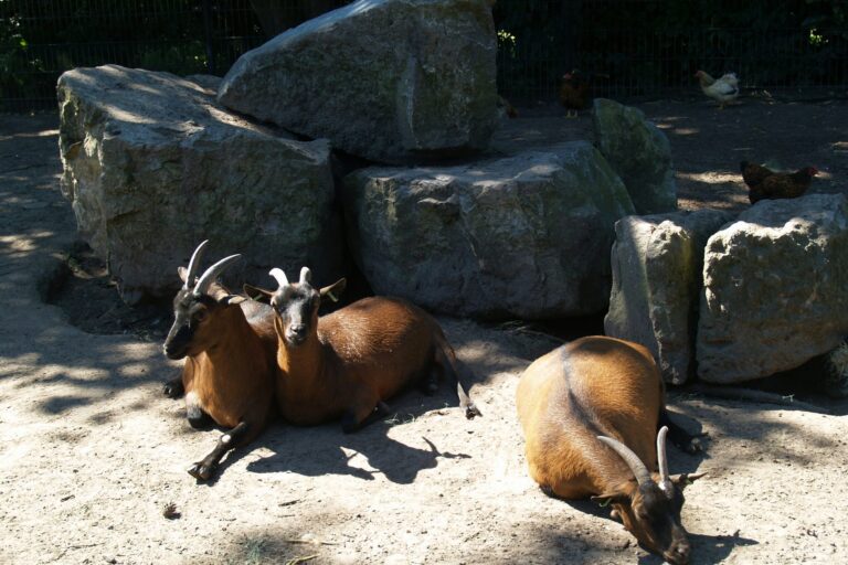 Europarcs De Achterhoek - Bild 18