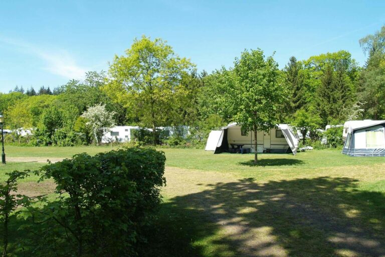 Europarcs De Utrechtse Heuvelrug - Bild 10