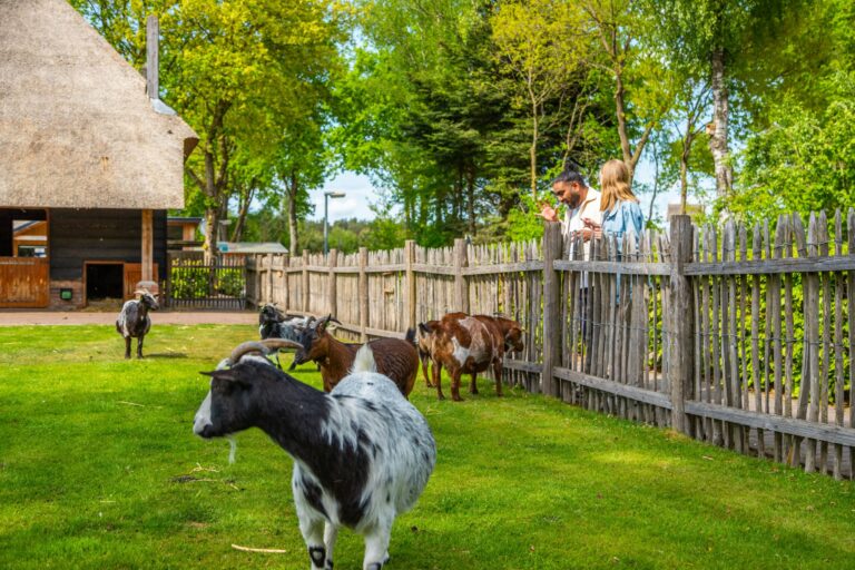 Europarcs De Wije Werelt - Bild 16