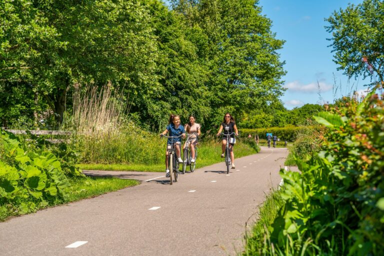 Europarcs De Woudhoeve - Bild 16