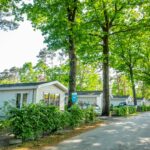 Europarcs De Zanding - Bild 6