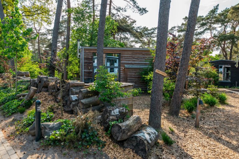 Europarcs De Zanding - Bild 7