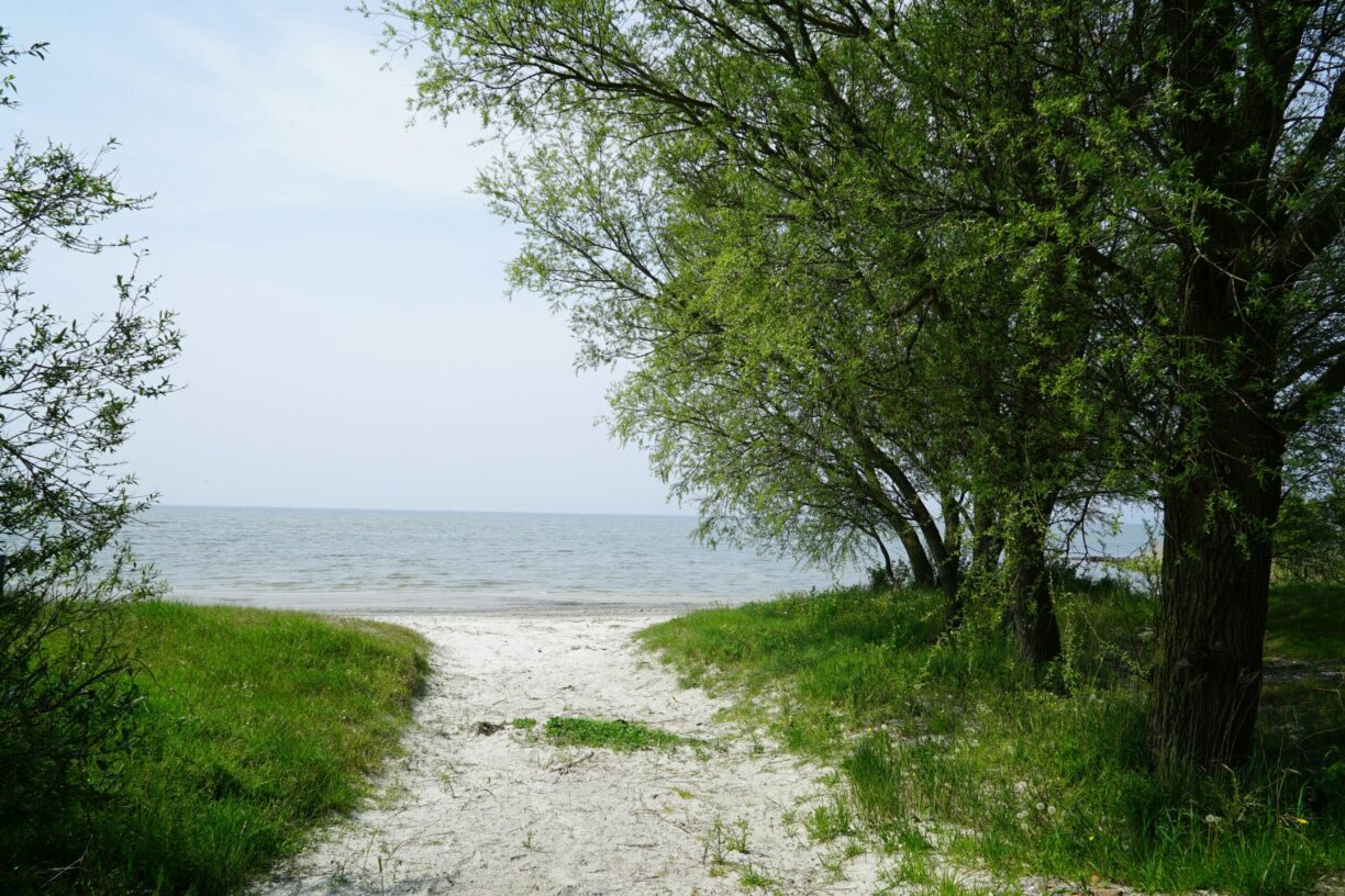 Europarcs Hindeloopen - Bild 14 Europarcs Hindeloopen - Bild 14