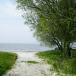 Europarcs Hindeloopen - Bild 14 Europarcs Hindeloopen - Bild 14