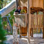 Europarcs Hoge Kempen - Bild 12 Europarcs Hoge Kempen - Bild 12