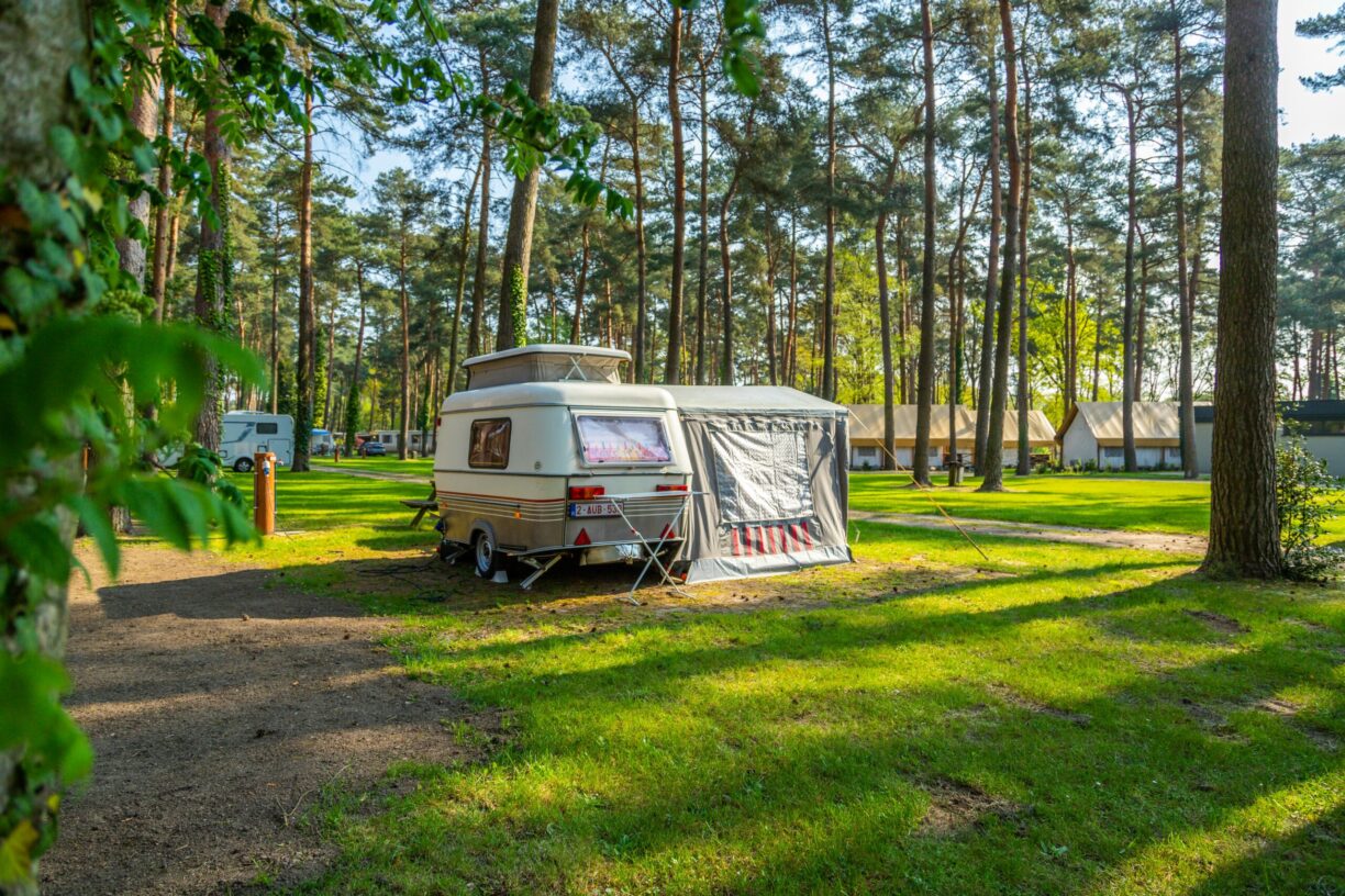 Europarcs Hoge Kempen - Bild 9 Europarcs Hoge Kempen - Bild 9