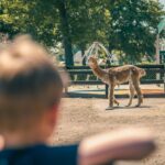 Europarcs Limburg - Bild 2