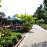 Europarcs Maasduinen - Bild 16